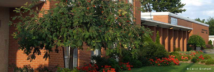 L.C.C.V.I. Front Gardens