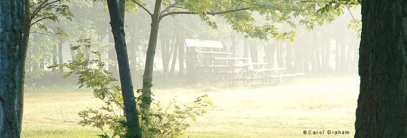Foggy bleachers and park